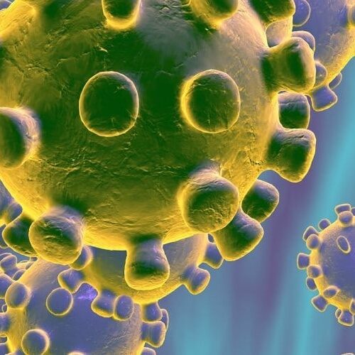 corona-virus corona-virus