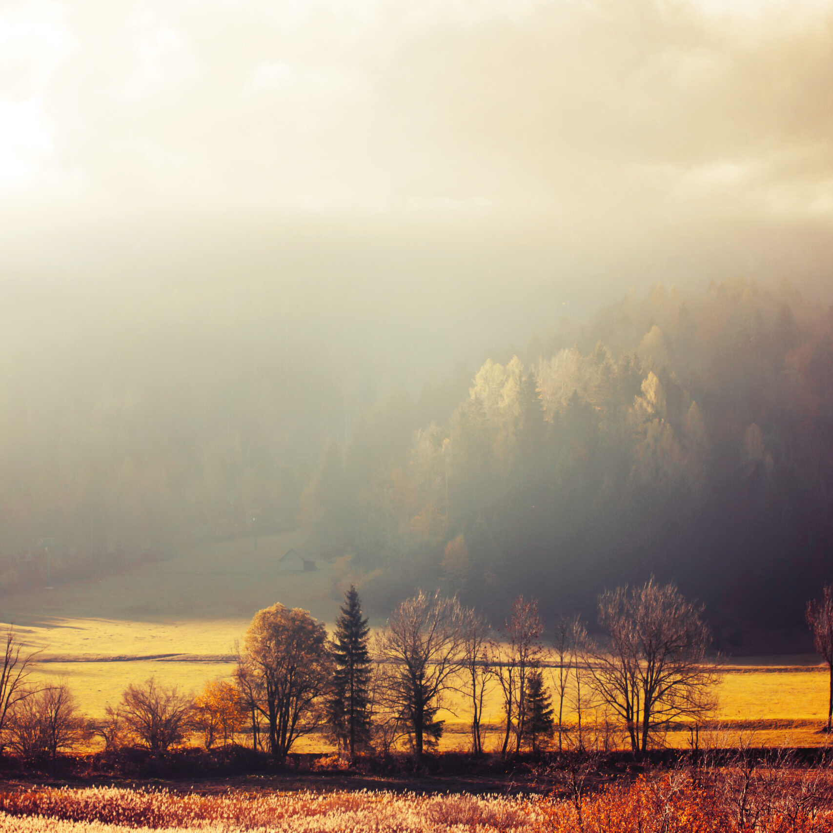 Foggy autumn Misty morning in the Dolomites